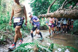 BIB: 
                            <button type="button" onclick="openModal(25470973)" class="btn btn-primary btn-sm float-right btn-popup" data-toggle="modal" data-target=".modal-high-quality">
                        <i class="fas fa-shopping-cart"></i> Add to Cart
                    </button>
                                            <button type="button" onclick="isThisMe(25470973, true)" class="btn btn-success btn-sm float-right btn-popup btn-isme hidden" data-toggle="tooltip" data-placement="bottom" title="นี่คือรูปของคุณใช่ไหม คลิกที่นี่เพื่อเอาเข้าอัลบั้ม">
                        <i class="fas fa-plus"></i> Add to album
                    </button>
                    <button type="button" onclick="isThisMe(25470973, false)" class="btn btn-warning btn-sm float-right btn-popup btn-isnotme hidden">
                        <i class="fas fa-ban"></i> Remove from album
                    </button>